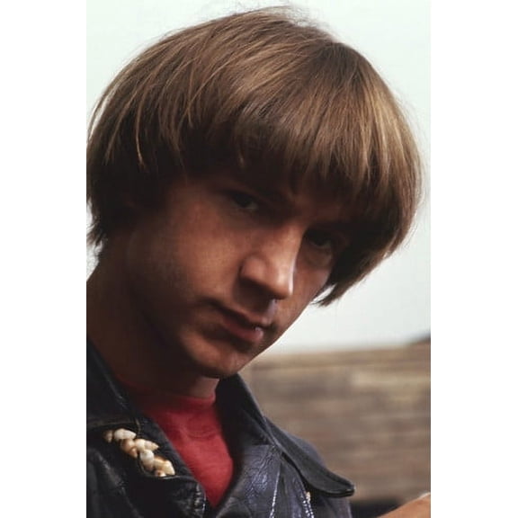 Peter Tork and The Monkees portrait 1960's classic 24x36 Poster