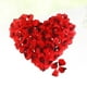 thumbnail image 5 of EeaseMX 2400 piezas de pétalos de rosa artificiales de tela para decoración de bodas (rojo oscuro), 5 of 7