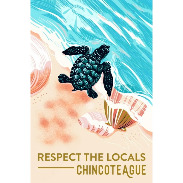 Chincoteague Island, Virginia, Courageous Explorer Collection, Turtle