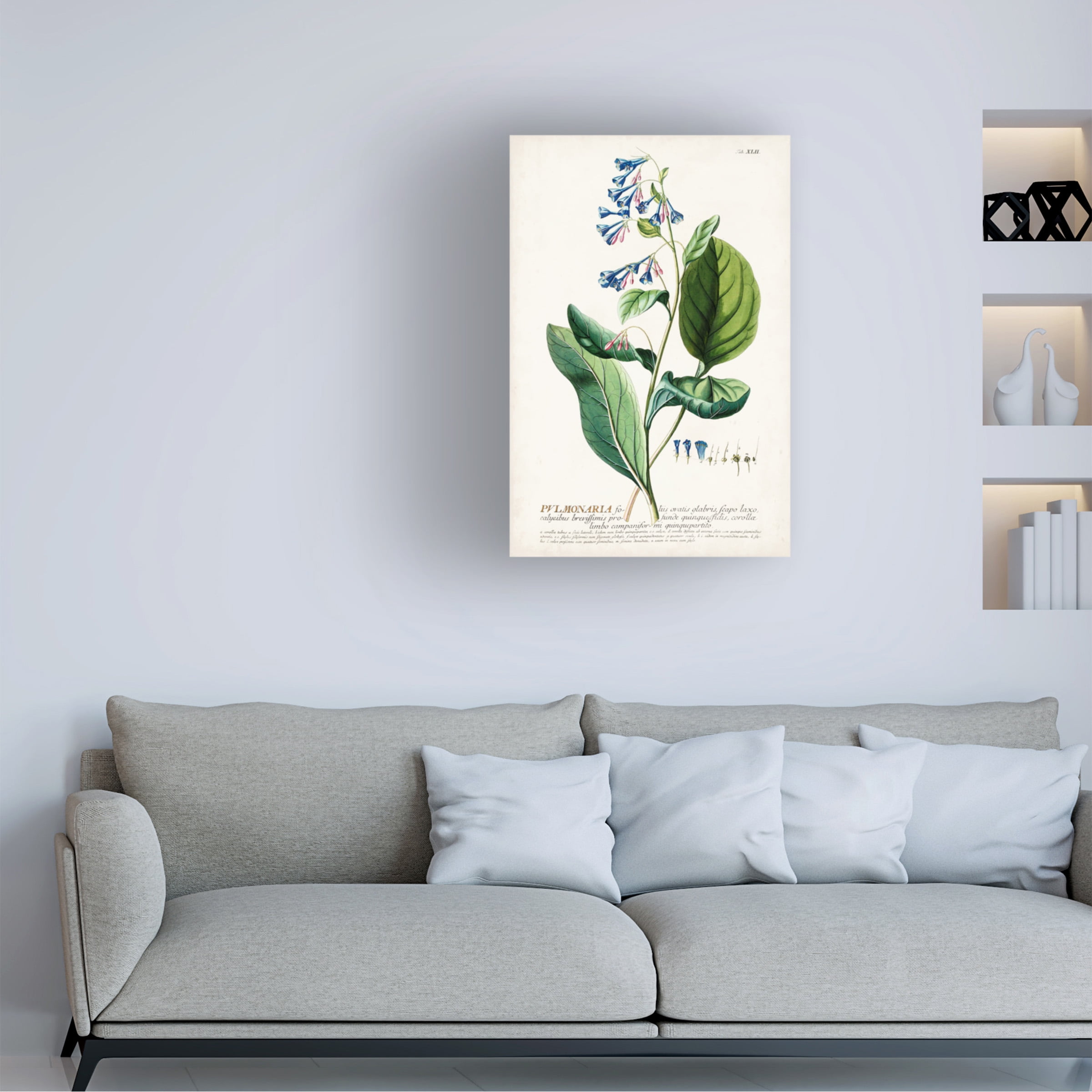 Unknown 'Alluring Botanical V' Canvas Art
