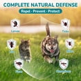thumbnail image 3 of Woyamay Gotas 4 en 1 para Prevención de Pulgas y Garrapatas para Perros y Gatos, 3 of 8