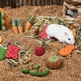 thumbnail image 3 of CIYISON Hamster Treat Rabbit Chew Toy Animal Chew Carrots Natural Nutrient Molar Toy, 3 of 15