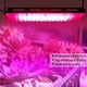 thumbnail image 5 of Lámpara LED para plantas de 50W, foco de espectro completo, luz para plantas, lámpara de crecimiento para invernadero, 5 of 6