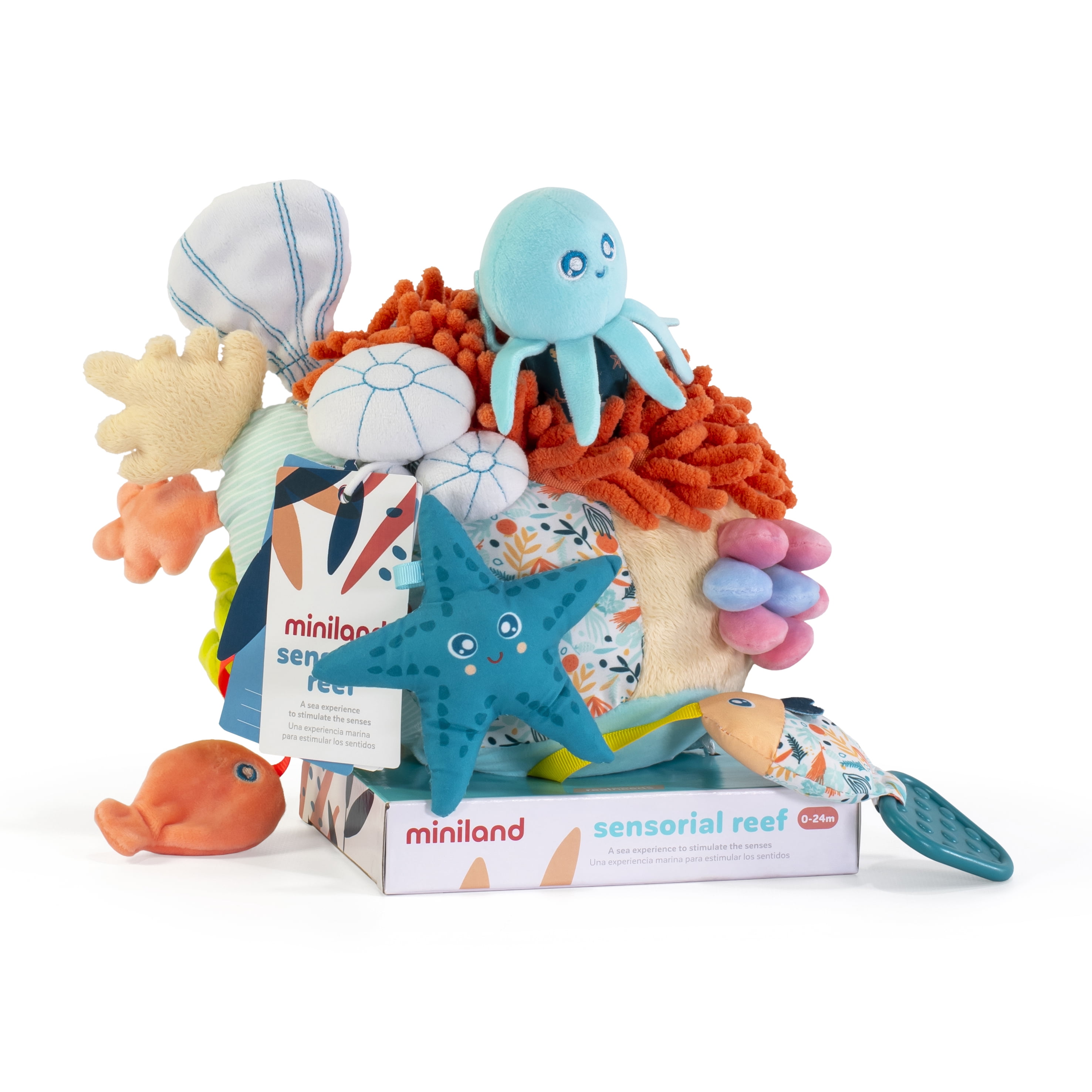Miniland Sensorial Reef