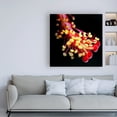 thumbnail image 3 of Trademark Fine Art 'Pistils' Canvas Art by Dana Brett Munich, 3 of 3