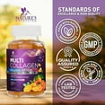 thumbnail image 5 of Collagen Peptides Gummies with 2500mcg Biotin Per Serving - Hair Growth, Skin & Nails Supplement - Hydrolyzed Collagen Multi Type I & III, Vitamin C for Immune Support, Orange Flavor, 60 Gummies, 5 of 10