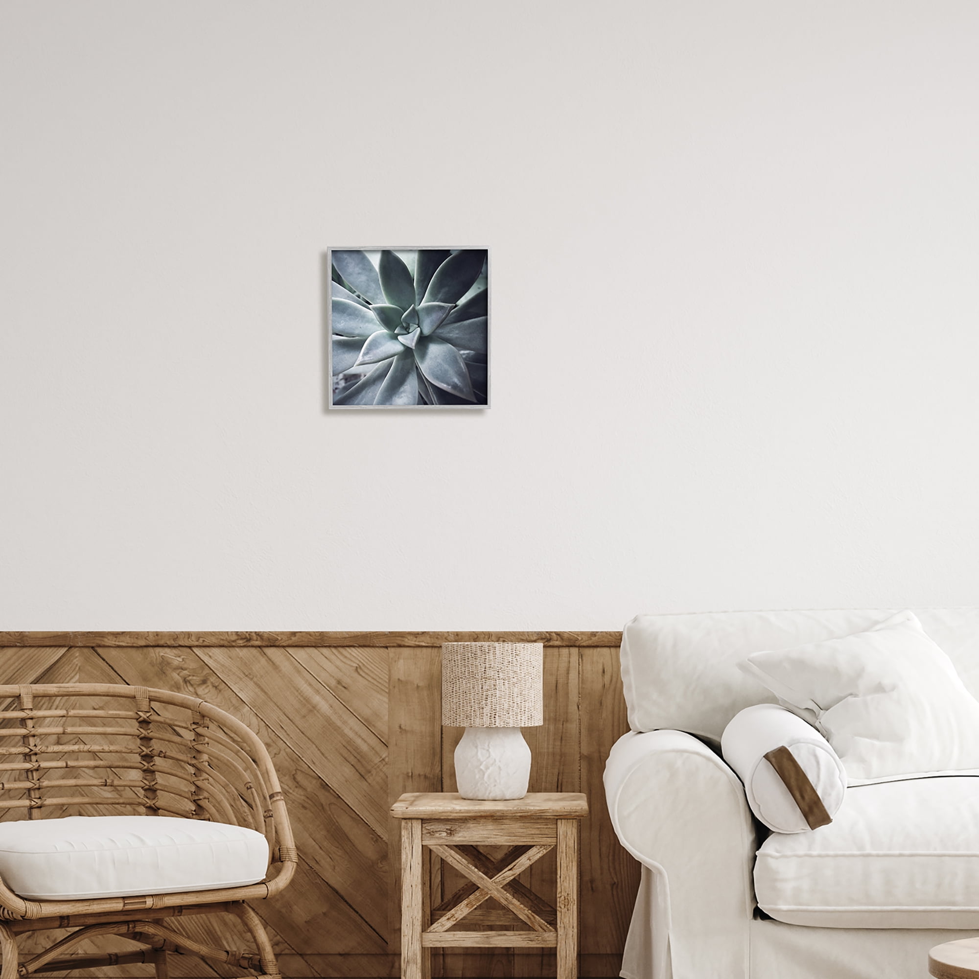 Stupell Industries Modern Succulent Close Up Plant Life Botanical Photograph Gray Framed Art Print Wall Art, Design by unknown
