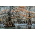 thumbnail image 2 of Head, Danny 32x23 White Modern Wood Framed Museum Art Print Titled - Spanish Moss I, 2 of 4