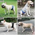 thumbnail image 5 of Male Dog Belly Band Pet Diaper Washable Wrap Waterproof Toilet Training Dog Physiological Pant, 5 of 5