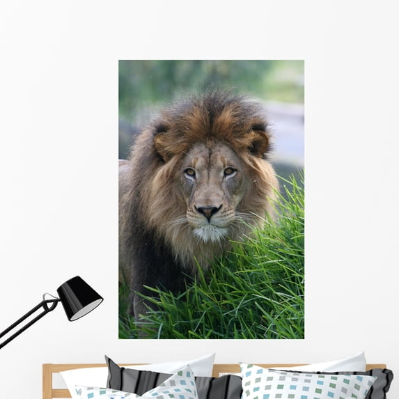 Lion Wall Mural by Wallmonkeys Peel and Stick Graphic (48 in H x 32 in W) WM345391