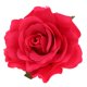 thumbnail image 3 of 5 Pedazos Cabeza de Flor de Simulación Arte de Bricolaje para Tarjeta de Invitación / Álbum de fotografía rojo Macarena Cabezas artificiales de Rose, 3 of 8