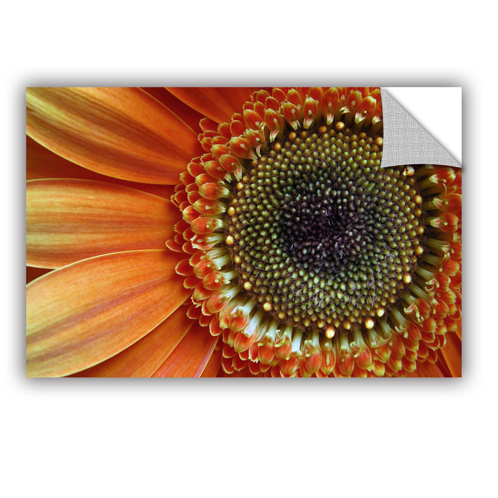 ArtAppealz Dan Holm "Big Orange" Removable Wall Art