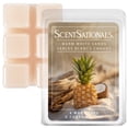 thumbnail image 1 of ScentSationals Scented Wax Cubes - Warm White Sands, 1 of 5
