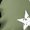 Army Green, variant on KHONTS 1776-2026 T Shirts for Men Short Sleeve 250th Anniversary Patriot Shirts Crew Neck Summer Tees Light Gray XL