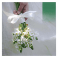 thumbnail image 2 of Set 5 Rollos Listón 4cm De Ancho Blanco Satinado Decoración Eo Safe Imports Color Blanco, 2 of 5