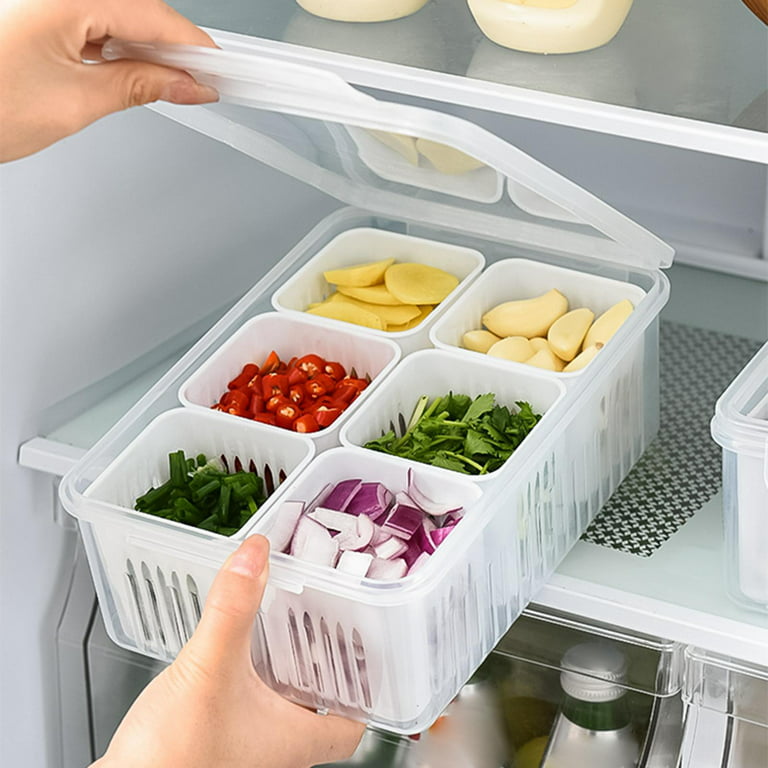 1pc Refrigerator Storage Box With Handle And Lid, Plastic Sealed Food Fruit  Organizer Container, Moisture-proof And Insect-proof