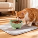 thumbnail image 4 of Ireezec Elevated Cat Food and Water Bowl, Anti-Vomit Slow Feeder, Tilted Design for Neck Support, Whisker Friendly Wide Shallow Dish, Non-Slip Ba, Large Capacity Pet Feeding Station, 4 of 6