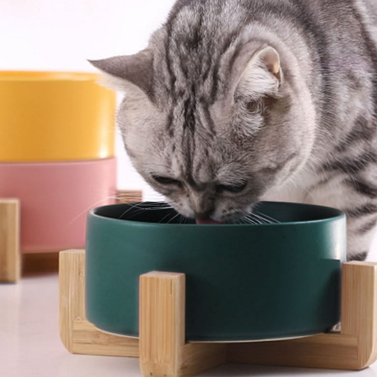 KYONANO Raised Pet Bowls for Cats and Small Dogs, Bamboo Elevated Dog Cat  Food and Water Bowls Stand Feeder with 3 Ceramic Food Bowls for cat Grass  or Food and Anti Slip