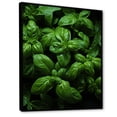 thumbnail image 2 of Designart "Vibrant Basil Herbs IV" Floral Framed Wall Art - Traditional Green Herbs Entryway Framed Wall Art, 2 of 6