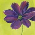 thumbnail image 3 of Marrott, Stephanie 20x20 Black Modern Framed Museum Art Print Titled - Purple Blooming III, 3 of 5