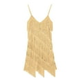 thumbnail image 3 of Raenseen Women's Sequins Tassel Dance Costume Samba Rumba Tango Dance Dress 1920s Flapper Cocktail Gold One_Size, 3 of 8
