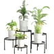 thumbnail image 1 of Paquete De 5 Soportes Para Plantas De Metal, Soporte Para Macetas De Esquina De Hierro Resistente A La CorrosióN, Soporte Redondo Para Exhibir Estante Para Plantas En Niveles, 1 of 6