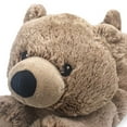 thumbnail image 2 of Intelex Warmies Microwavable Plush 13" Brown Bear, 2 of 2