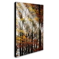 thumbnail image 3 of Trademark Fine Art "Just the Light" Canvas Art by Philippe Sainte-Laudy, 3 of 4