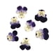 thumbnail image 5 of Toystoory 12 piezas de artesanías de flores secas, artesanías multipropósito DIY, flores prensadas, joyería artesanal, accesorio de tipo 6 10Conjunto, 5 of 6