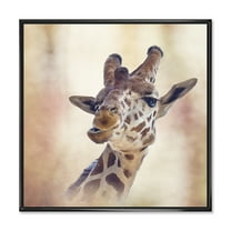 Designart 'Close Up Portrait of A Giraffe VI' Farmhouse Framed Canvas Wall Art Print