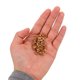 thumbnail image 5 of GOOHOCHY 50Ud Ojo Tornillo Acero Inoxidable Dorado Ideales Para Manualidades, 5 of 6