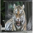 thumbnail image 4 of Ambesonne African Shower Curtain, Roaring Tiger Wildlife, 69"Wx70"L, Multicolor, 4 of 5