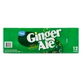 Great Value Ginger Ale Soda Pop, 12 fl oz, 12 Pack Cans