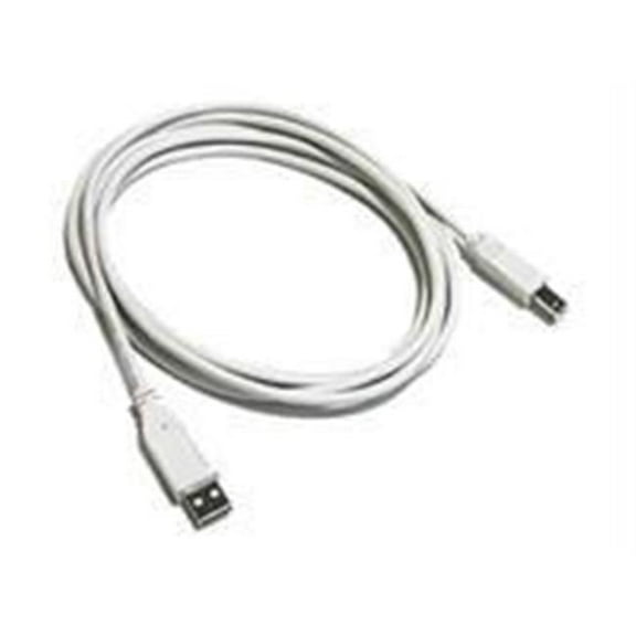 6.5' USB 2.0 A Male to B Male Cable - White