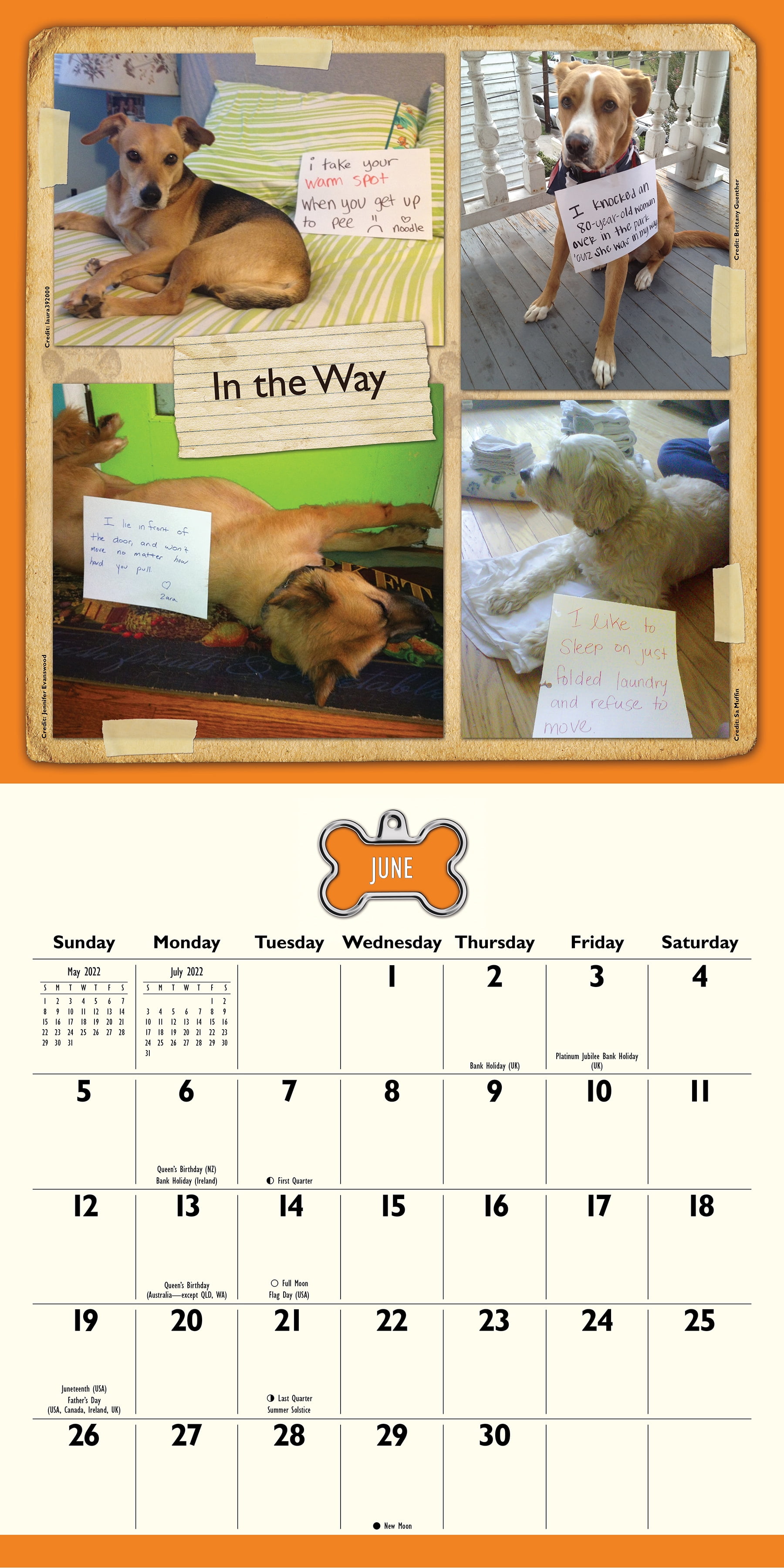 Andrews Mcmeel, 2022 Dog Shaming 12" x 12" - Wall Calendar