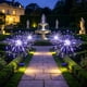 thumbnail image 1 of CaiYueKe Solar Powered Dandelion Lights Outdoor Waterproof LED Lawn Garden Stake Lights for Patio Pathway Yard Landscape Decorative Lighting Easy Install Solar Garden Lights - 1 Pack, 1 of 9