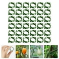 thumbnail image 3 of 200pcs Plastic Plant Support Clips Gardening Clamps Tomato Vine Fixing Clips, 3 of 7