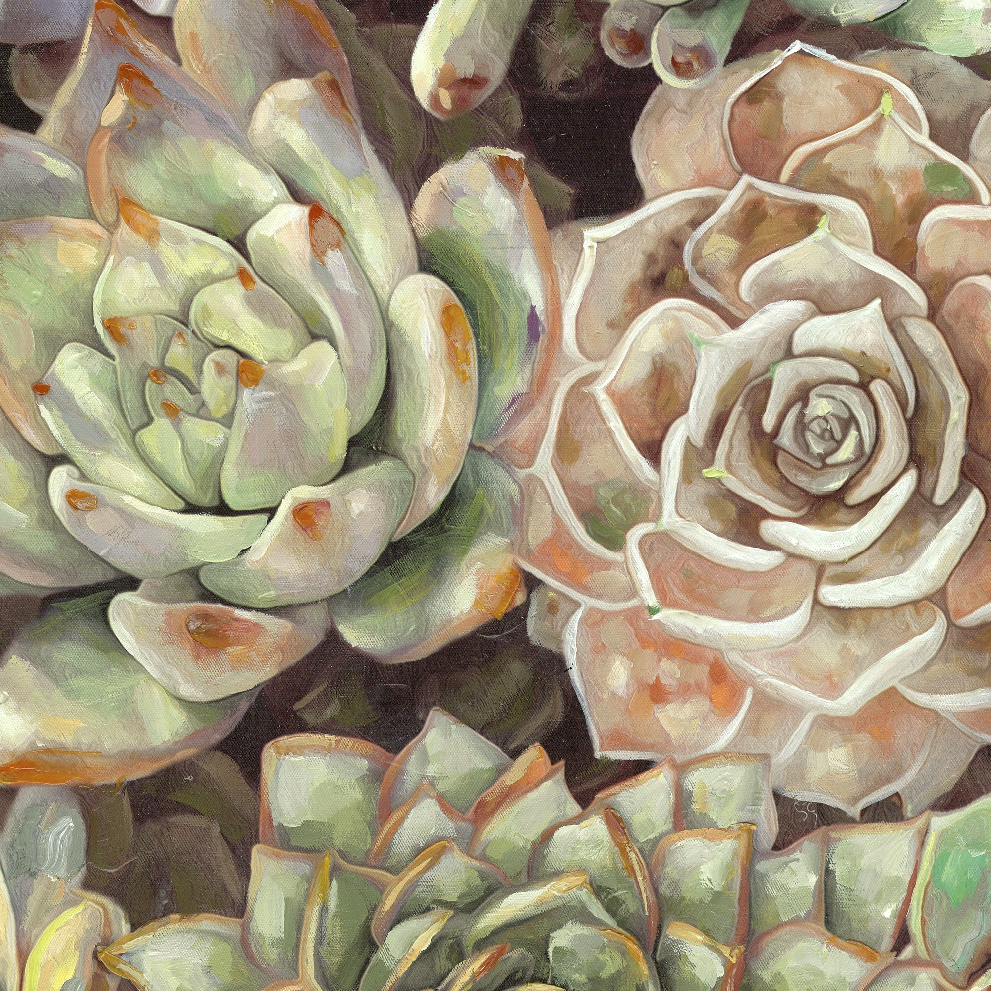 Desert Garden Soft by Dixon Design Group Wrapped Canvas Painting Art Print