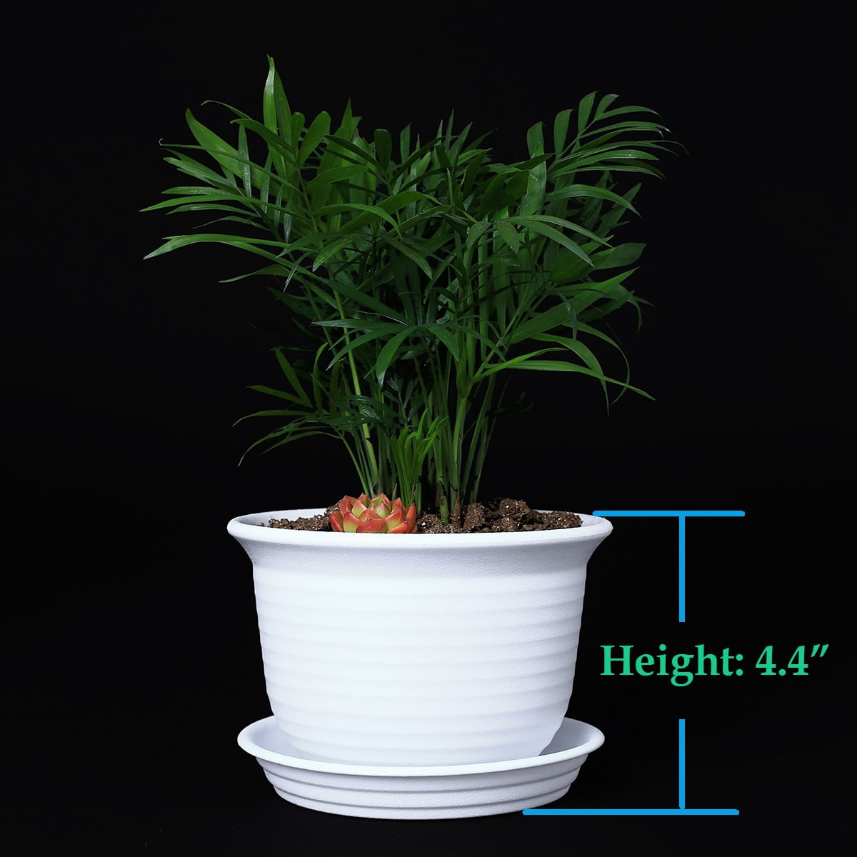 CLICK ON THE LINK 10 X 15CM 1.5 LITRE 6 INCH ROUND GREY PLASTIC PLANT POTS