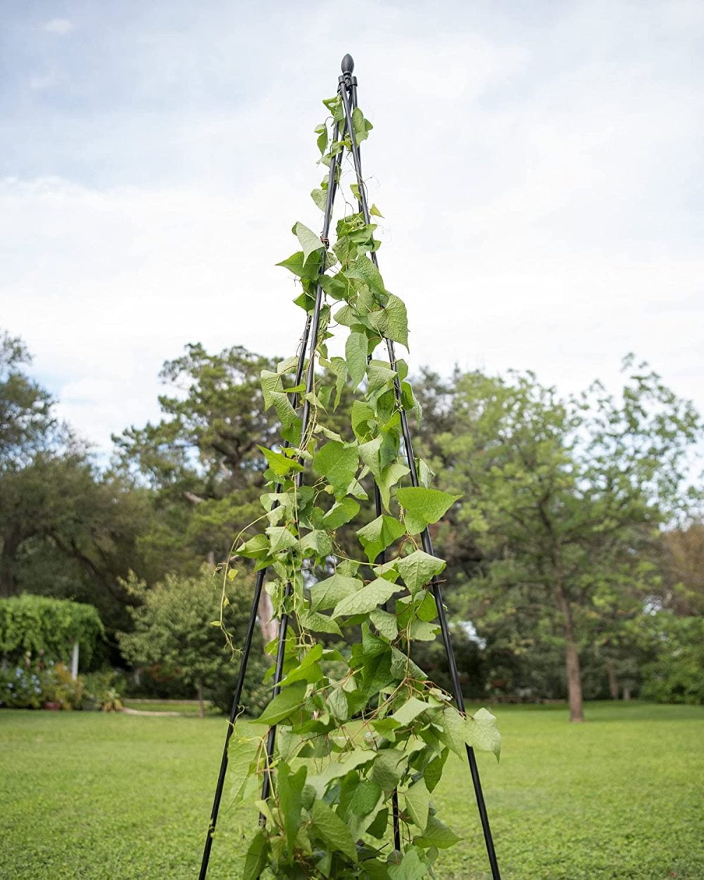 FULenQnu Extra Tall Garden Teepee Trellis Sturdy Plant Support for Peas