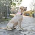 thumbnail image 4 of lynxking Dog Collar,Soft Breathable Pet Collar,Adjustable Collar for Small Medium and Large Dogs (M,Pink), 4 of 9