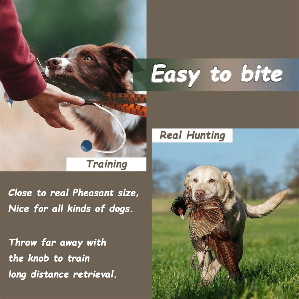 Symkmb 2 Pcs Pheasant Dummy Bumper Toy for Hunting Retriever Dog Training, Hunting Duck Recognition Trainers,Ducks EVA