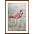 thumbnail image 2 of Art.com American Flamingo I Art Print by Tim O'toole, Brown Frame Wall Art, 21" x 29", 2 of 5