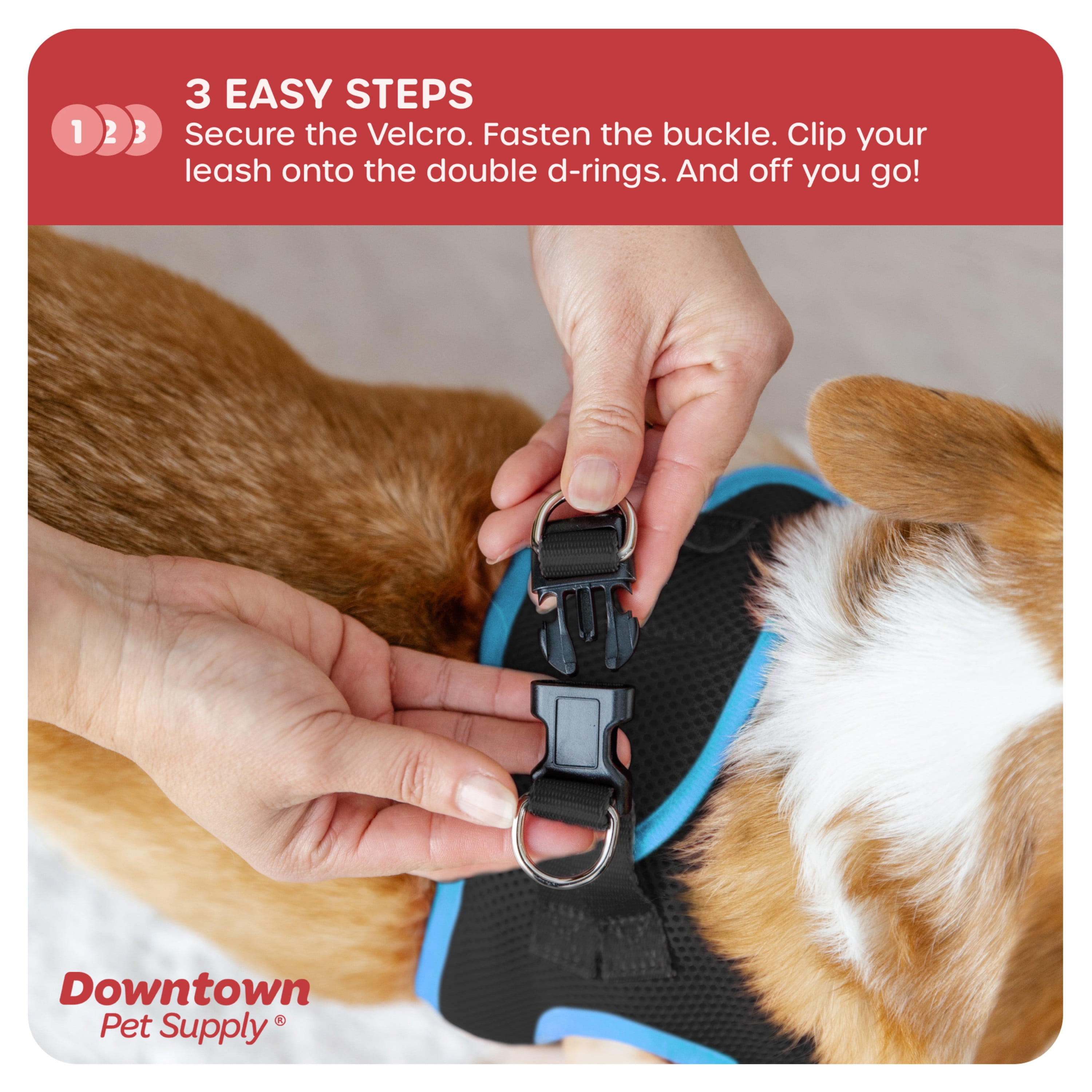 Downtown Pet Supply Step In Dog Harness For Small Dogs No Pull, Large, Black w/ Cobalt Blue Trim