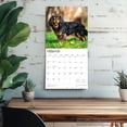 thumbnail image 5 of Cavalier King Charles Spaniels | 2026 12x24" (Hanging) Wall Calendar | Plastic-Free, 5 of 9