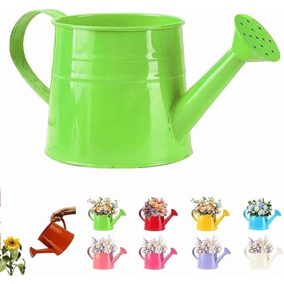 Metal Watering Can,1 liter Capacity Metal Watering Can with Sprinkler Head for Indoor Outdoor Plants, Flowers, Garden, Lawn