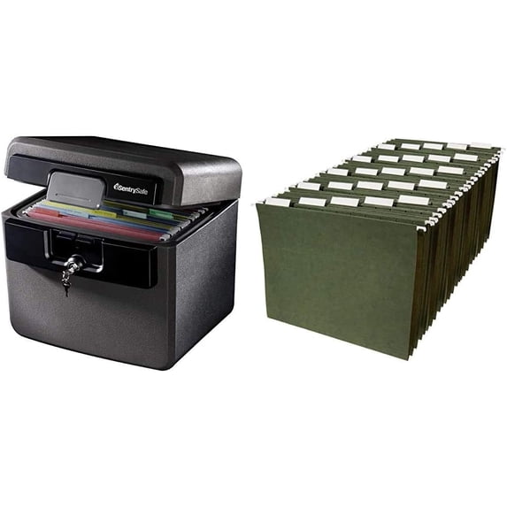 SentrySafe HD4100 Fireproof Safe and Waterproof Safe with Key Lock 0.65 Cubic Feet , black