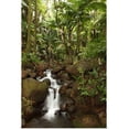 thumbnail image 1 of Great BIG Canvas | "Stream Running Through The Rainforest Near Hilo, Big Island, Hawaii" Art Print - 16x24, 1 of 4