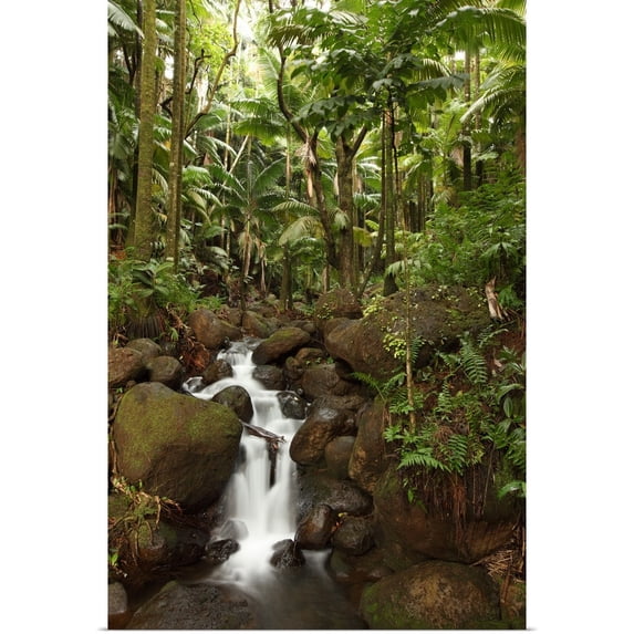 Great BIG Canvas | "Stream Running Through The Rainforest Near Hilo, Big Island, Hawaii" Art Print - 16x24