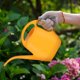 thumbnail image 5 of FUEENIRVA Spray Para Plantas Interior Y Exterior Con Gran Capacidad Y Moderno, 5 of 6